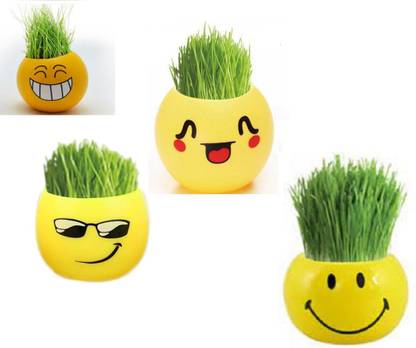 eDUST DIY Emoji Plant Pot with seed for Home, Car , Table Decoration Emoji 4-15 Plant Container Set