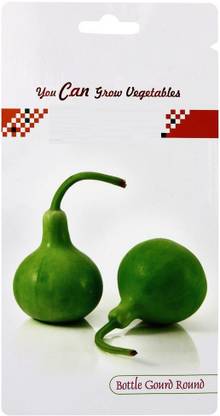 VibeX Bottle Gourd Seed