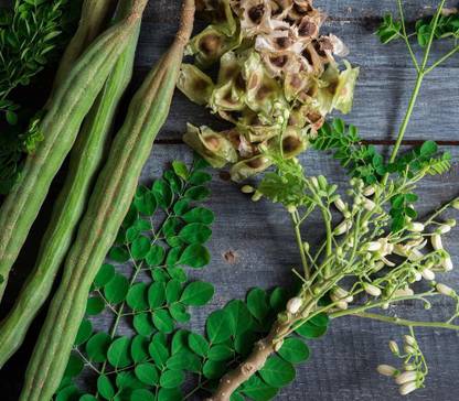 VibeX Moringa Seed