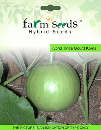 VibeX Bottle Gourd Seed