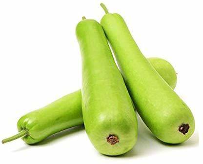 VibeX Bottle Gourd Seed