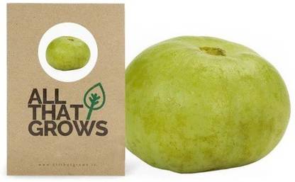 VibeX Apple Gourd Seed