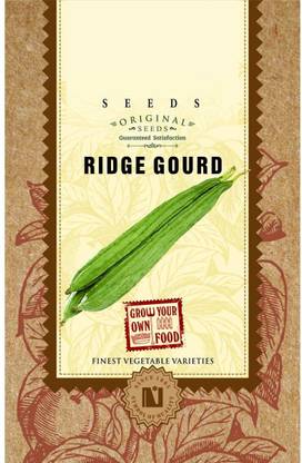 VibeX Ridge-Sponge-Gourd Seed