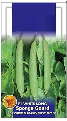 VibeX Ridge-Sponge-Gourd Seed