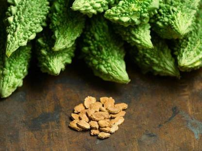 VibeX Bitter Gourd Seed