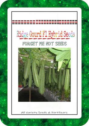 VibeX Ridge-Sponge-Gourd Seed