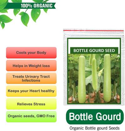 VibeX Bottle Gourd Seed