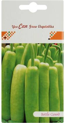 VibeX Bottle Gourd Seed