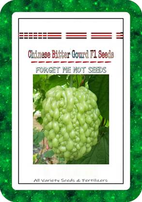 VibeX Bitter Gourd Seed