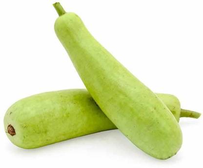 VibeX Bottle Gourd Seed