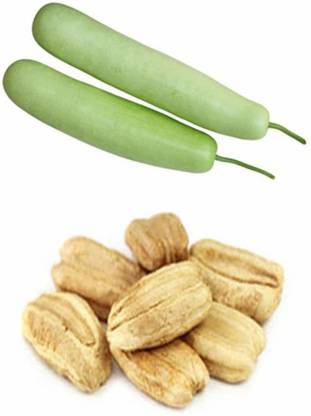 VibeX Bottle Gourd Seed
