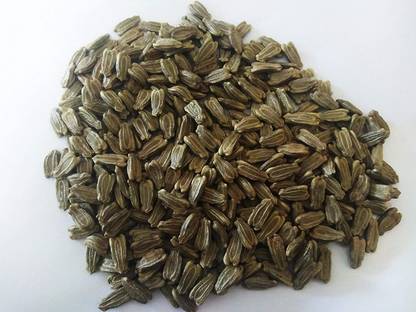 VibeX Bottle Gourd Seed