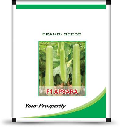 VibeX Bottle Gourd Seed
