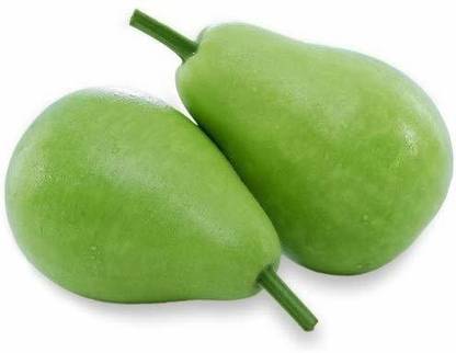 VibeX Bottle Gourd Seed