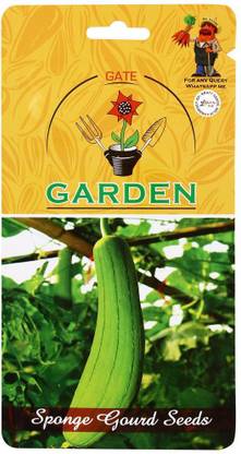 Qualtivate ™ Seeds Sponge Gourd Improved 2 in 1 Flower Seed Seed