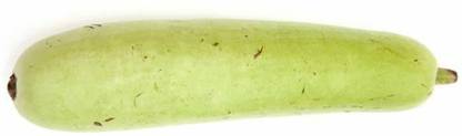 VibeX Bottle Gourd Seed
