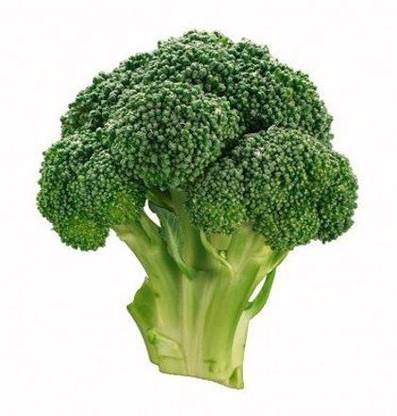 CRGO BROCCOLI Seed