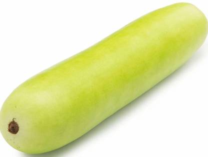 VibeX Bottle Gourd Seed