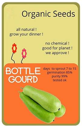 ActrovaX High Germination Rate Hybrid Bottle Gourd [400 Seeds] Seed