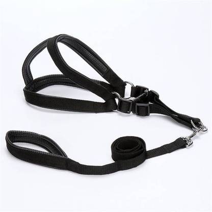 PESTON Dog Harness & Leash