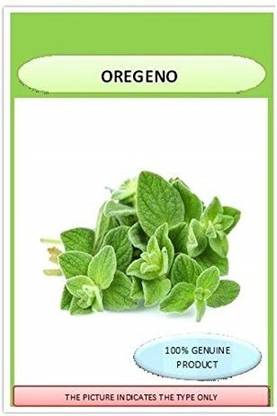 ActrovaX New Oregano - Origanum syriaca [1000 Seeds] Seed