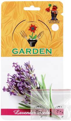VibeX Lavender Seed