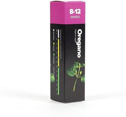 VibeX Oregano Seed