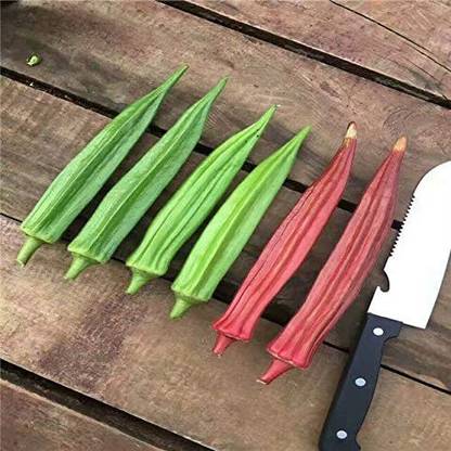 VibeX Red Okra, Ladies Finger, Bhindi Seed