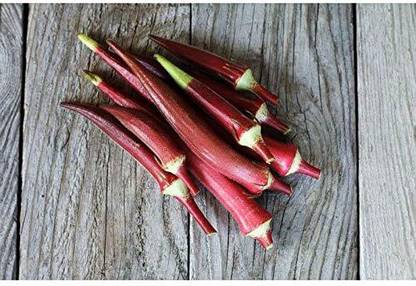 VibeX Red Okra, Ladies Finger, Bhindi Seed