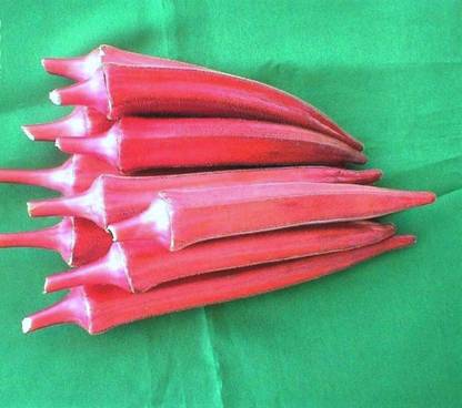 VibeX Red Okra, Ladies Finger, Bhindi Seed
