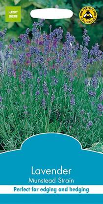 VibeX Lavender Seed