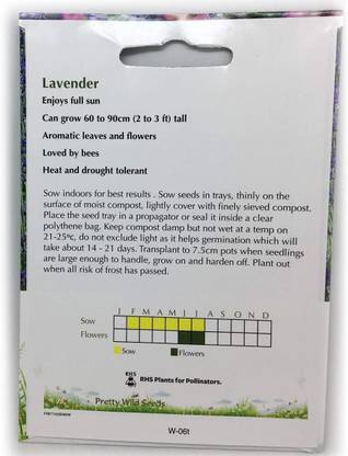 VibeX Lavender Seed