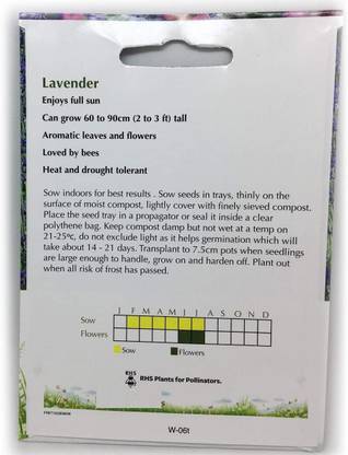 VibeX Lavender Seed