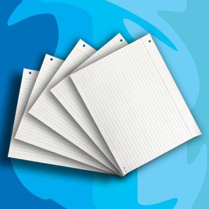 ShriG Exam Sheets Folded Doubled Sided Rule 23" X 9" 72 gsm Multipurpose Paper