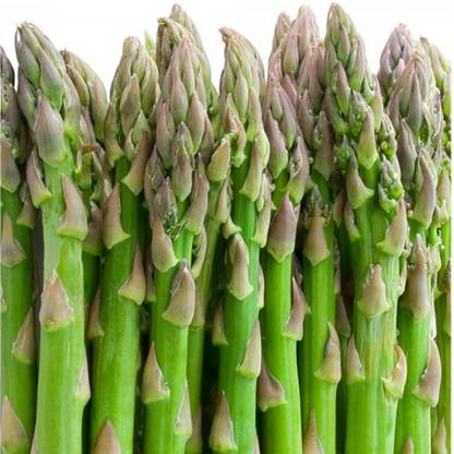 Sjeme Quality Organic Asparagus Seed Seed