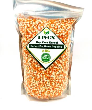 LIVOX POP CORN KERNEL ( Perfect For Home Popping ) Popcorn