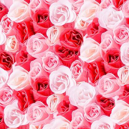 COLOR SOLUTION Vinyl Floral & Botanical White, Red Wallpaper