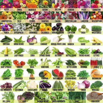 shoppersstop Vegetable seeds, Flower Seed