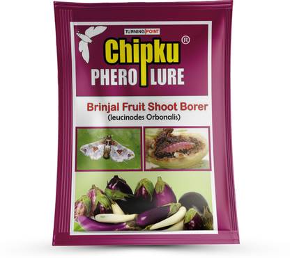 Chipku Pheromone Lure Brinjal Fruit Borer & Brinjal Shoot Borer (leucinodes orbonalis) Pack of 10