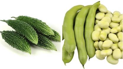BANDARIS HORTICULTURE Bitter Gourd (Green Long) + Broad Beans (Surti Papdi) Seed