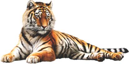 Jump up 60 cm Tiger half lay-down Self Adhesive Sticker