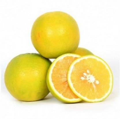 Sjeme Organic Pure Mosambi Seed Seed