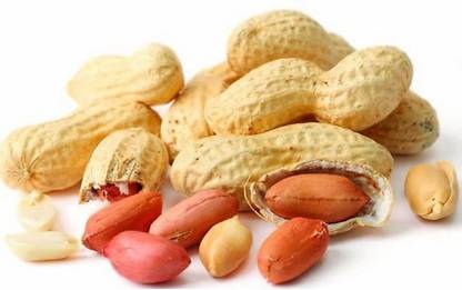 Rudra groundnut, peanut ( whole ) Seed
