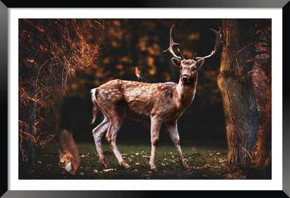 Bhawana Creation DEER BEAUTIFUL HD FRAME Digital Reprint 8 inch x 10 inch Painting