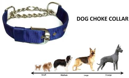 Hachiko Dog Choke Chain Collar