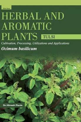 Herbal and Aromatic Plantsocimum Basilicum (Tulsi)
