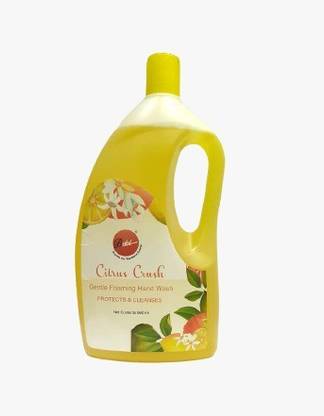 Bdel Premium Hand Wash Citrus Crush Hand Wash Can