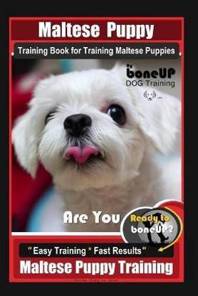 Maltese Puppy Training Book for Maltese Puppies By BoneUP DOG Training, Are You Ready to Bone Up? Easy Training * Fast Results, Maltese Puppy Training