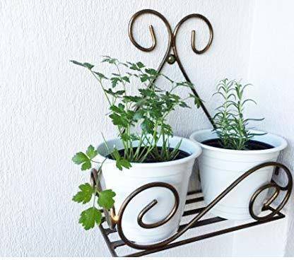 Dynamic Dealz Plant Container Set