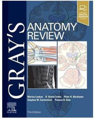 Gray's Anatomy Review